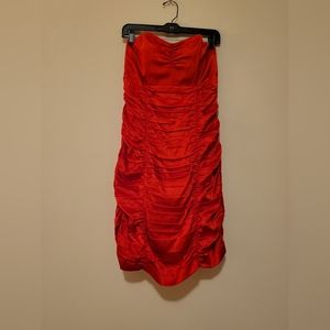 Express Silk Ruffle Bodycon Dress (12)